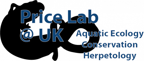 Price Lab Logo